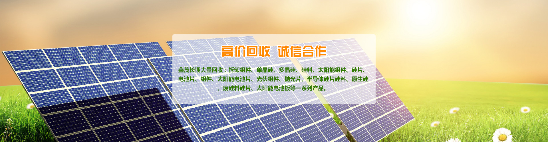 菏澤市花王科技工貿(mào)有限公司
